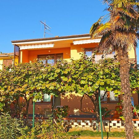 פאז'אנה Apartment Josip 933 מראה חיצוני תמונה