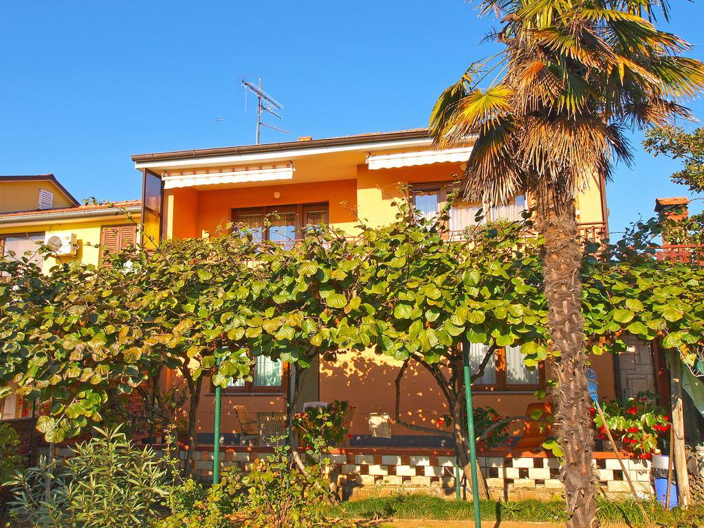 פאז'אנה Apartment Josip 933 מראה חיצוני תמונה